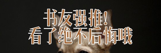 書友強推！看了絕不後悔哦。